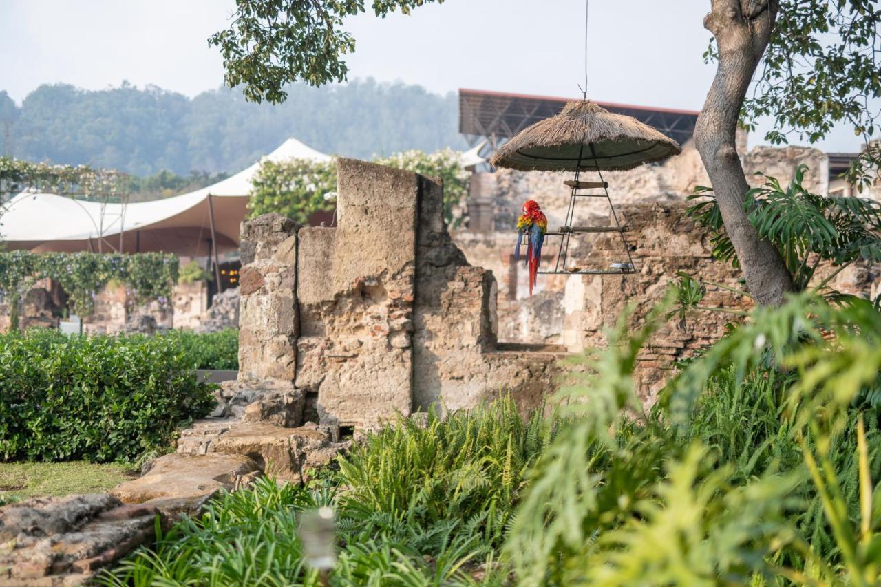 فندق موسيو كاسا سانتو دومينغو أنتيغوا غواتيمالا المظهر الخارجي الصورة The ruins of the old zoo